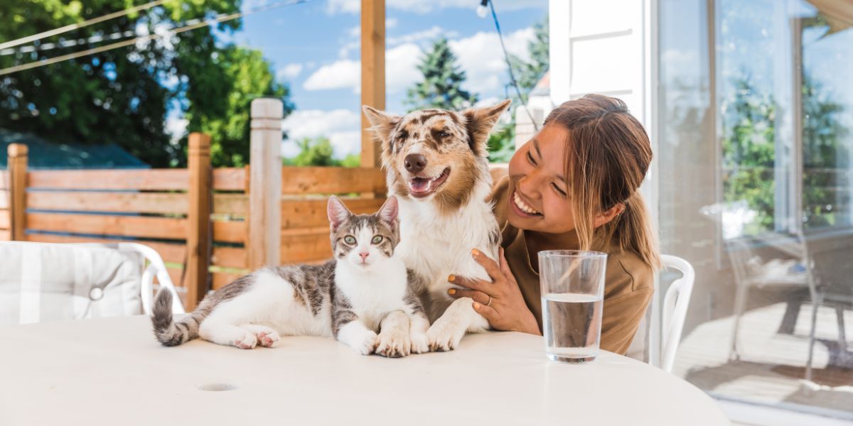 choose food for pets with sensitive skin