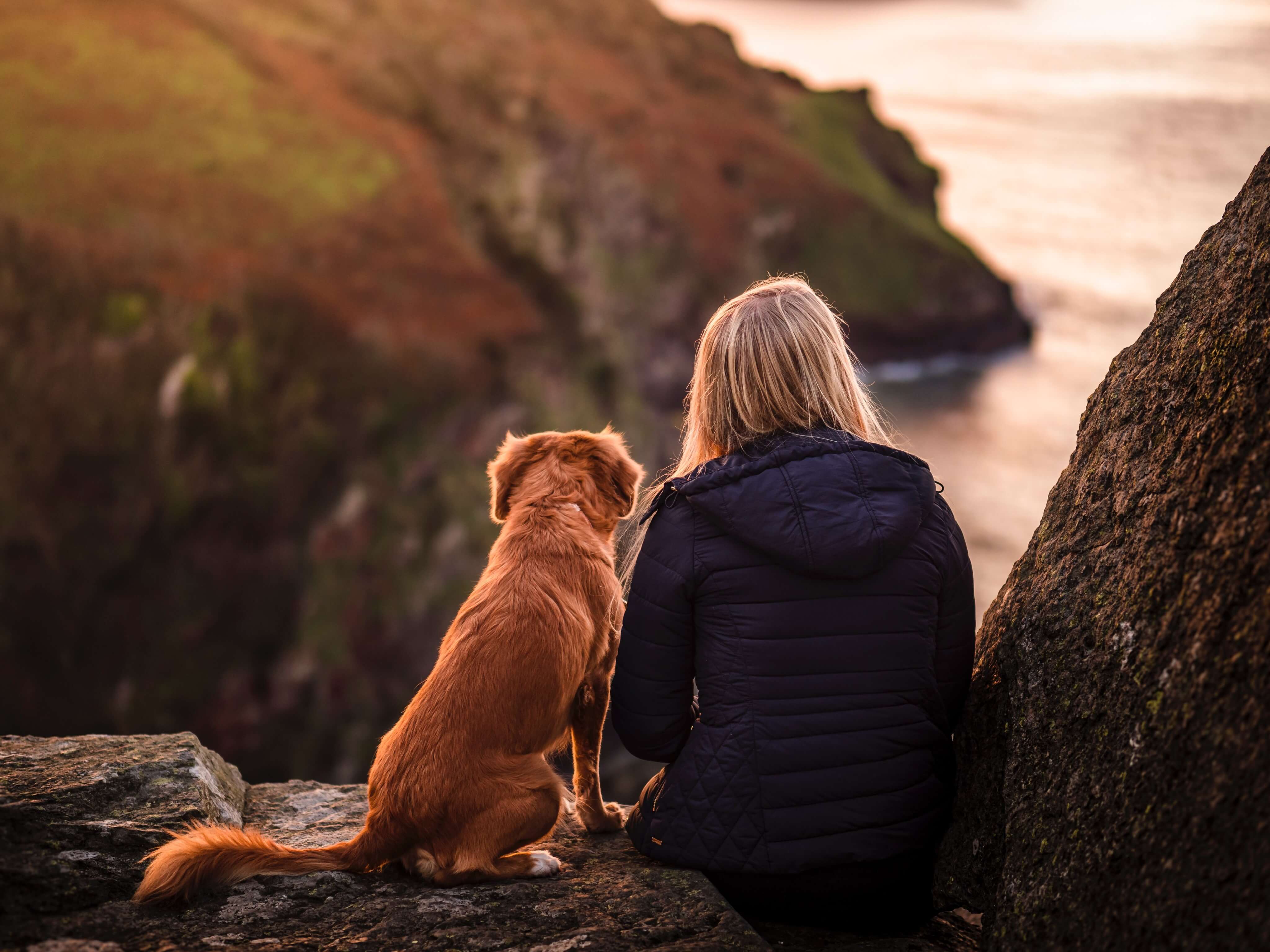 8 Ways to Spend More Time with Your Dog