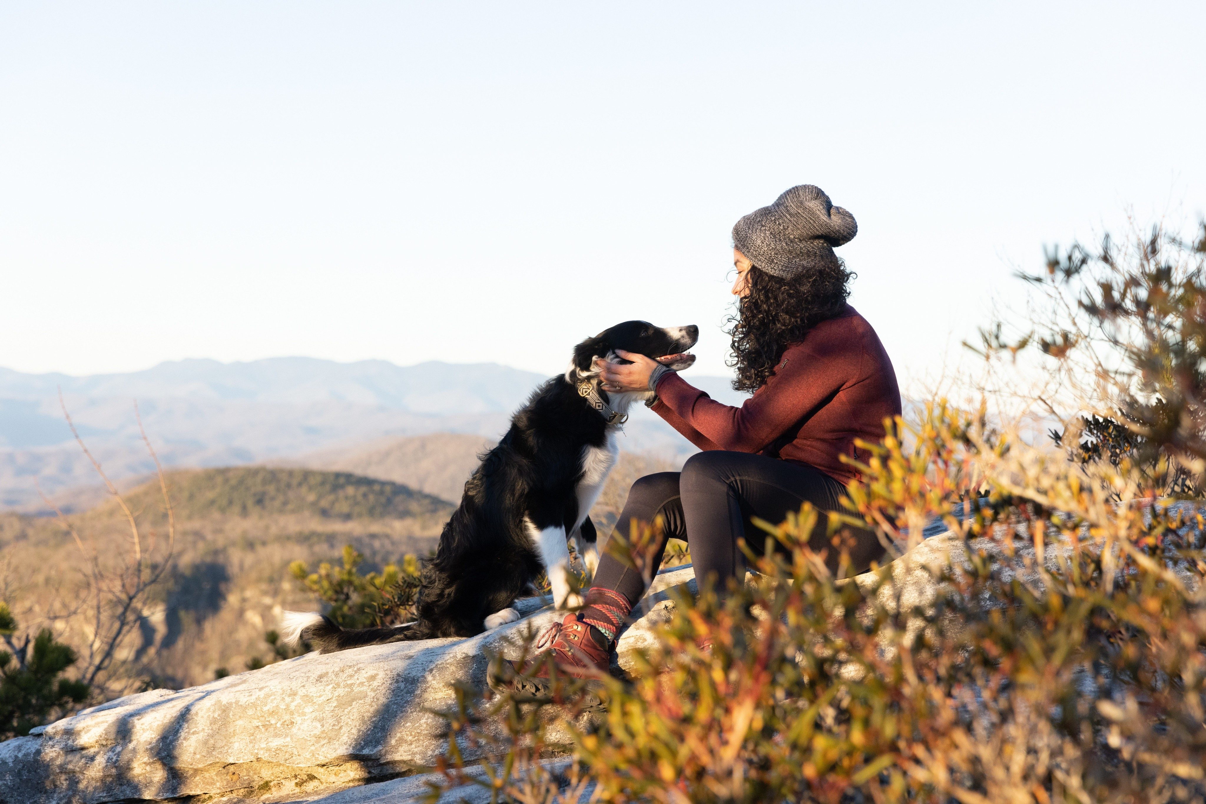 Unlocking the Secret Language of Dogs