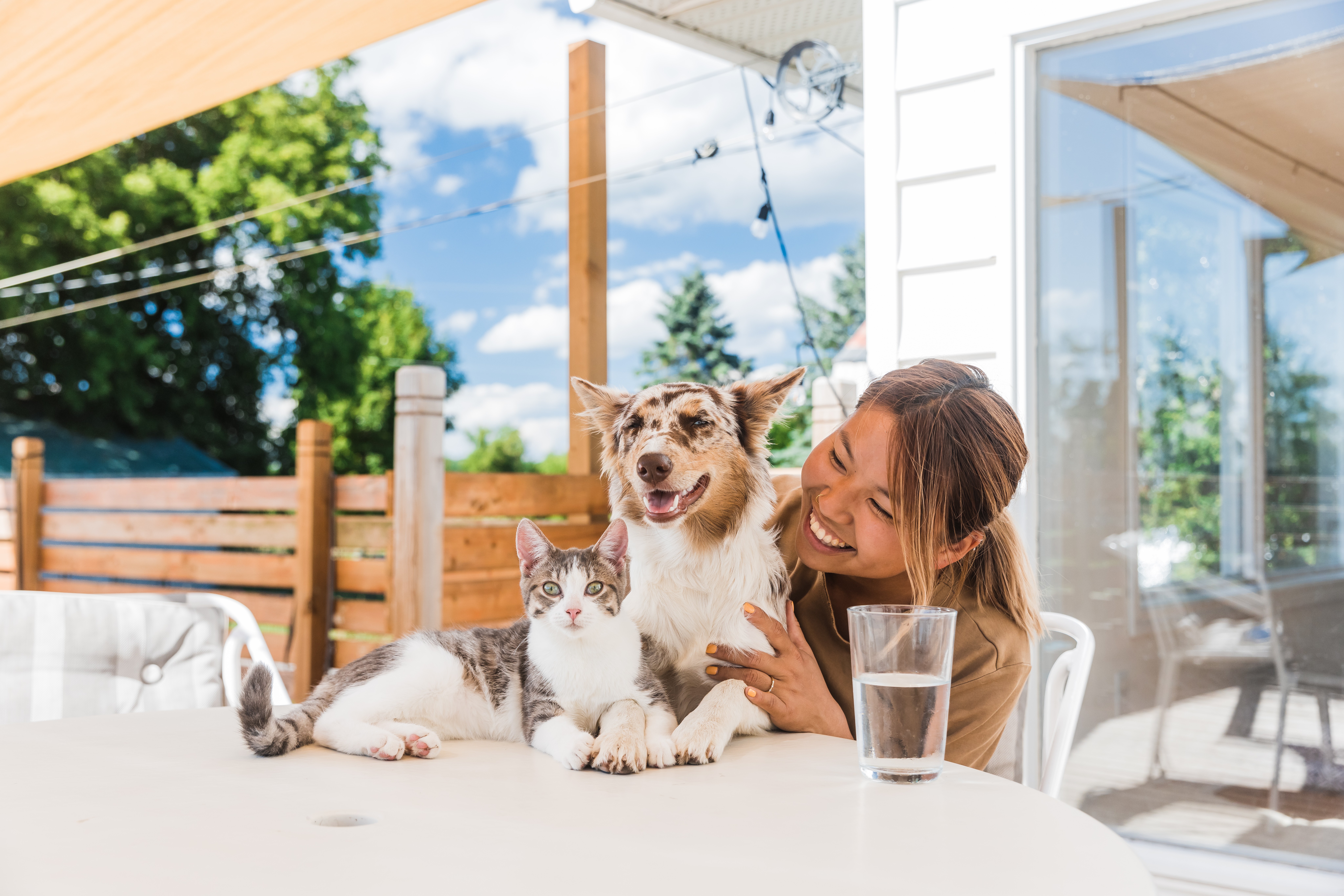How to Choose the Best Food for Pets with Sensitive Skin